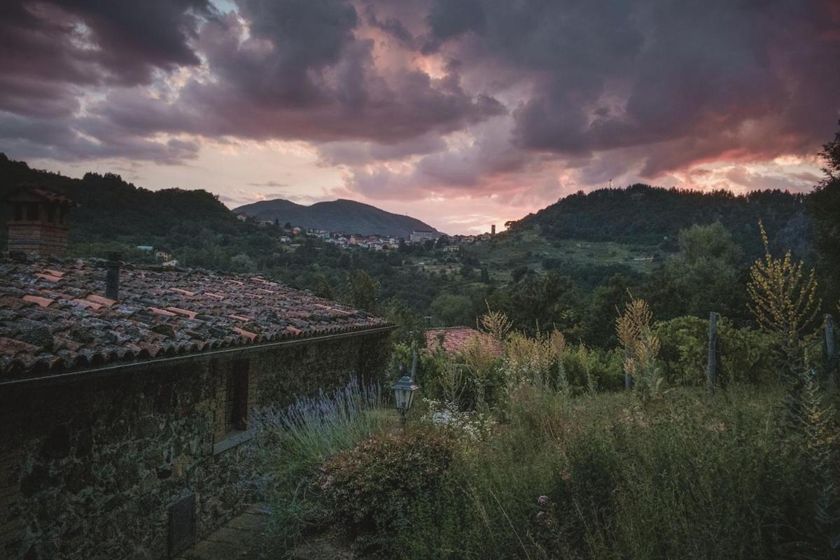 Borgo Del Sole Agriturismo Poggio  Bagian luar foto
