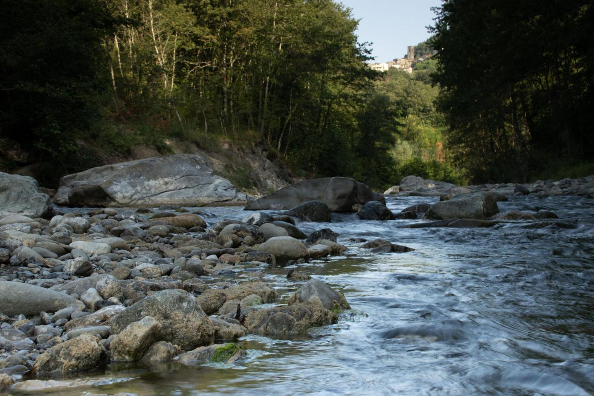 Borgo Del Sole Agriturismo Poggio  Bagian luar foto